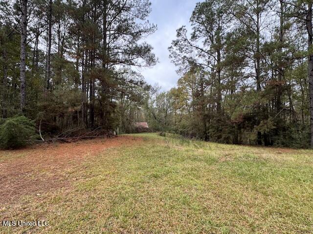 0 Coons Mill Road Centreville, MS 39631 - Photo 6 of 6 IMG_9587