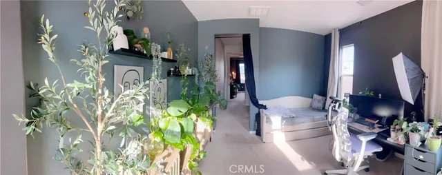 a living room with furniture and a potted plant