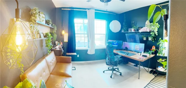 a room with furniture and a potted plant