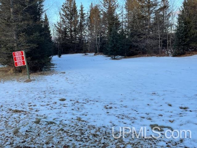 11812 East Howen Road Long Lake, WI 54542 - Photo 14 of 20