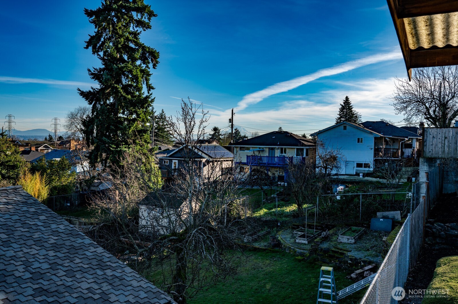 2525 South Raymond Street Seattle, WA 98108 - Photo 31 of 38 a backyard of a house with lots of green space