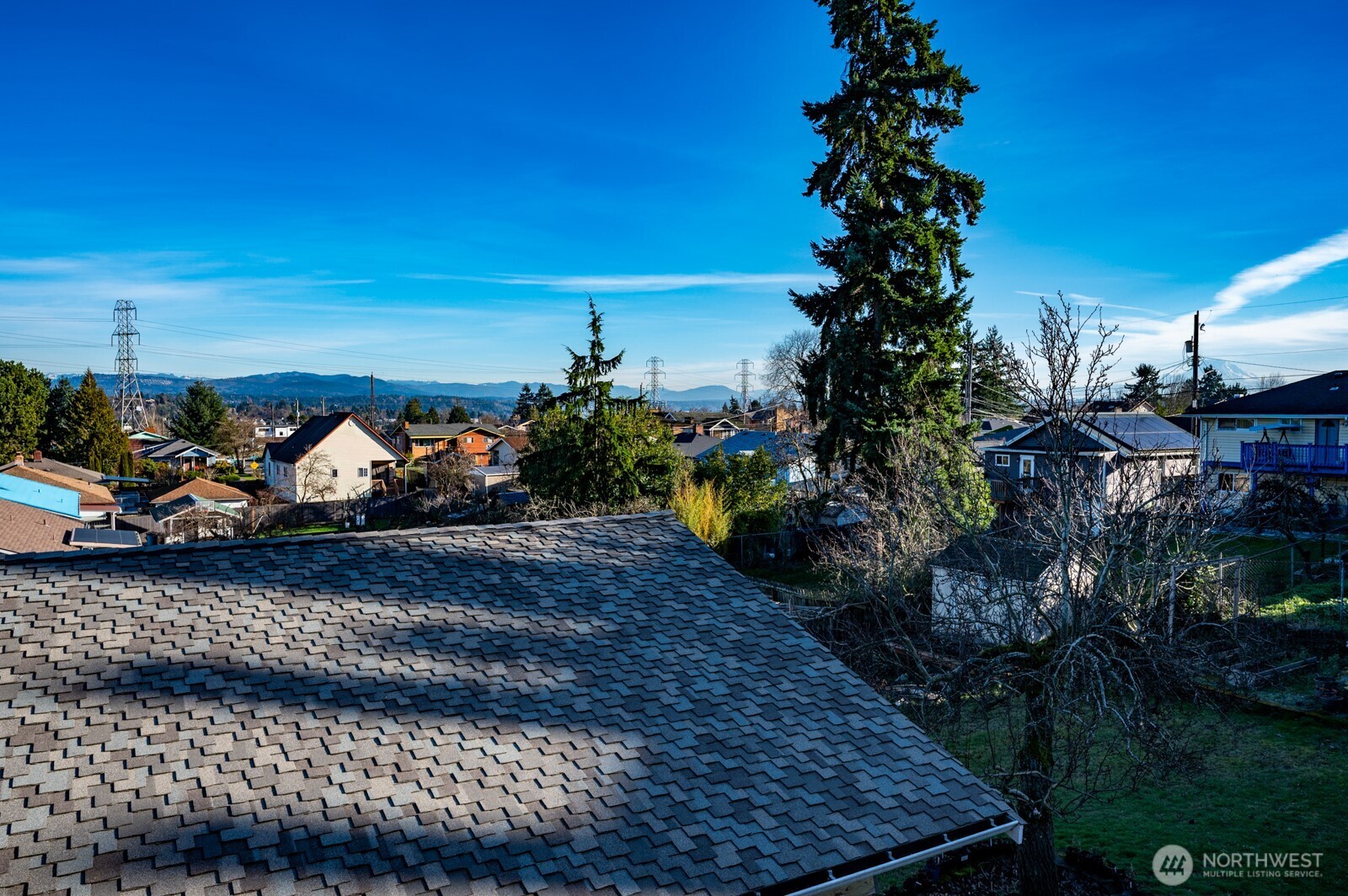 2525 South Raymond Street Seattle, WA 98108 - Photo 7 of 38 a view of a yard with lots of potted plants
