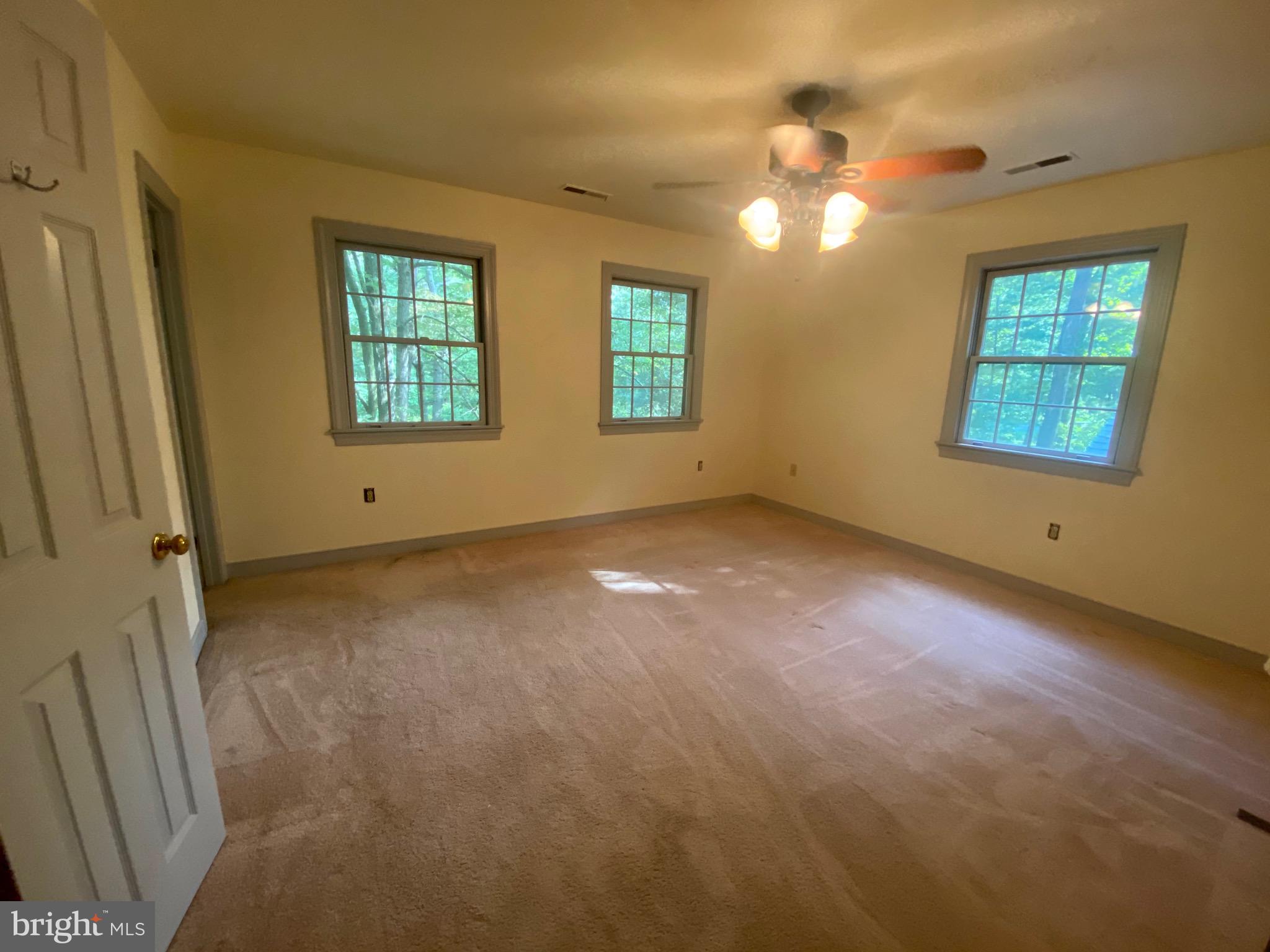 29501 Jackson Road Salisbury, MD 21804 - Photo 18 of 19 Gallery Image 18