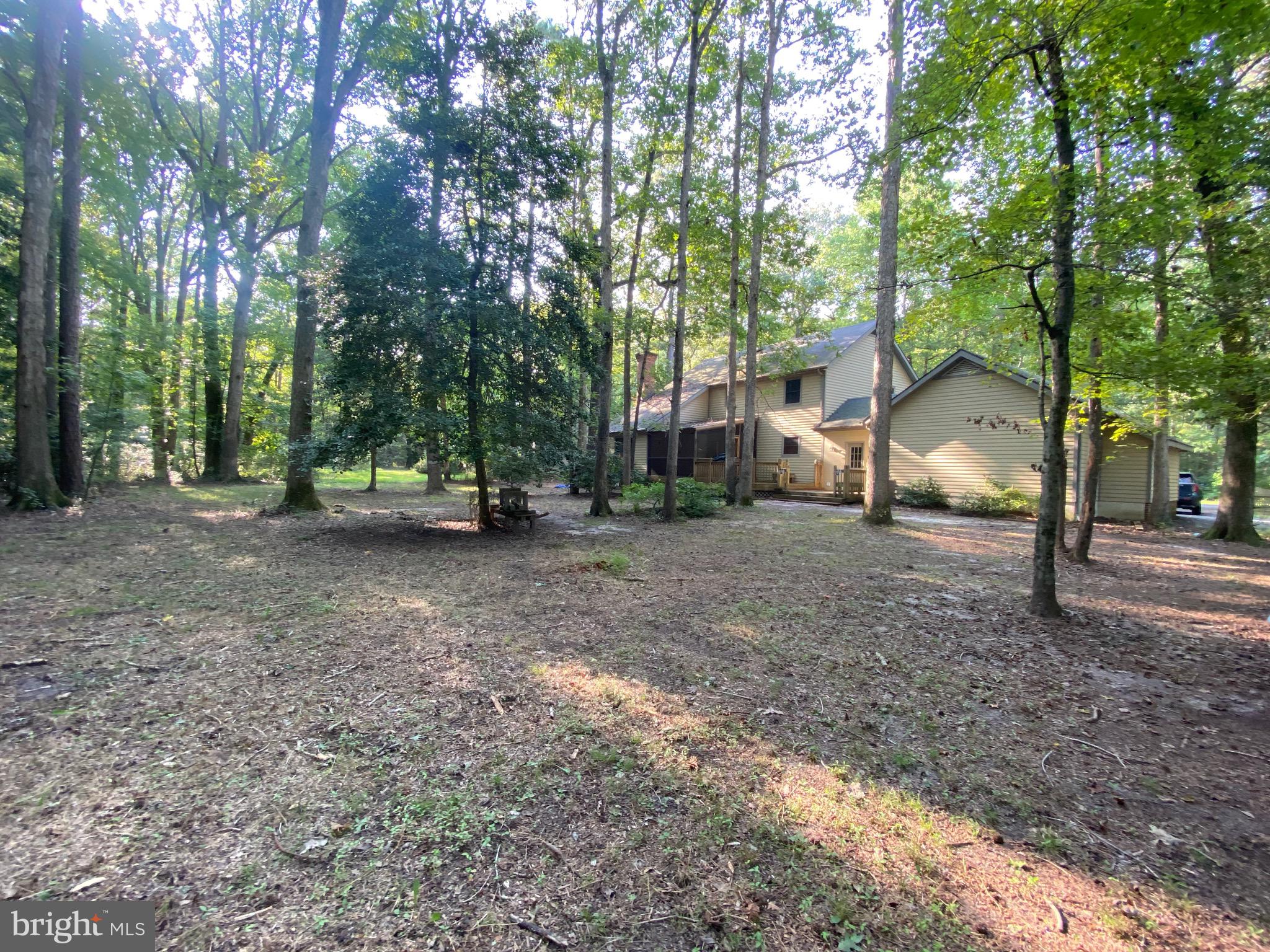 29501 Jackson Road Salisbury, MD 21804 - Photo 5 of 19 Gallery Image 5