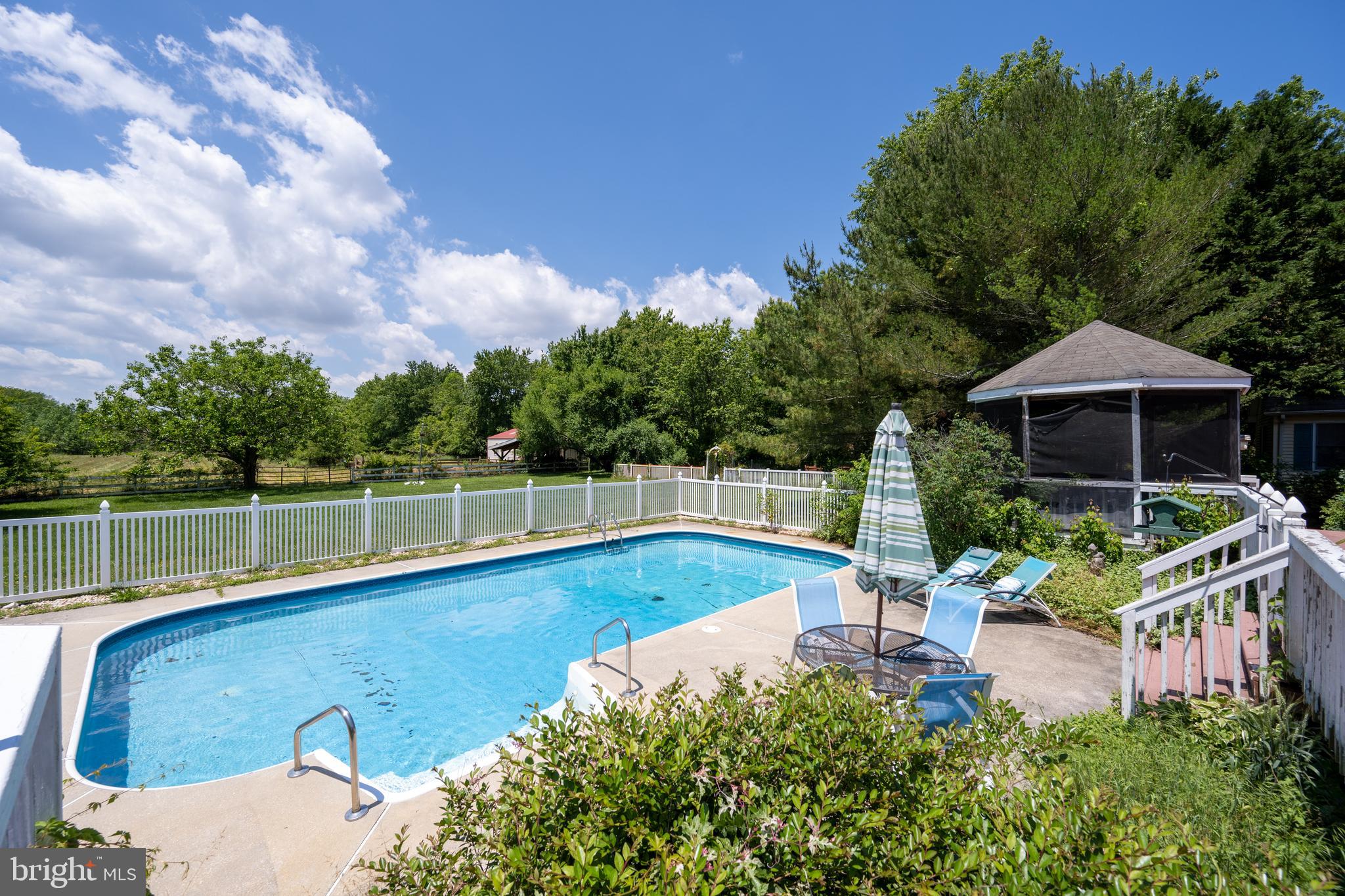 34122 Roxana Road Frankford, DE 19945 - Photo 25 of 65 Great size pool