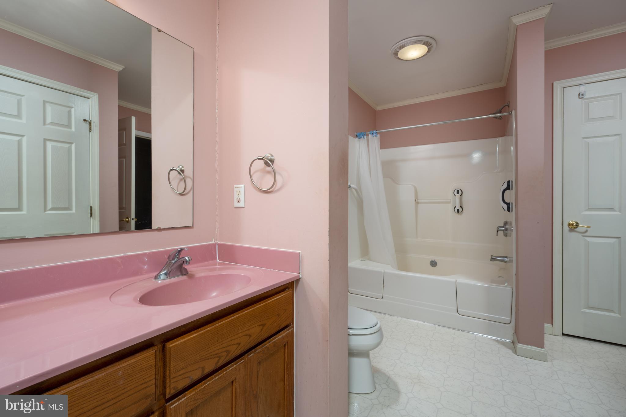 34122 Roxana Road Frankford, DE 19945 - Photo 47 of 65 Double vanities , jetted tub and shower combo