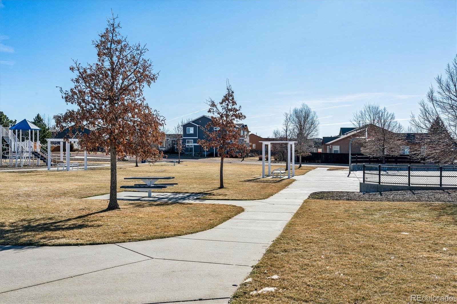 6610 Hannah Rose Road Colorado Springs, CO 80923 - Photo 19 of 21