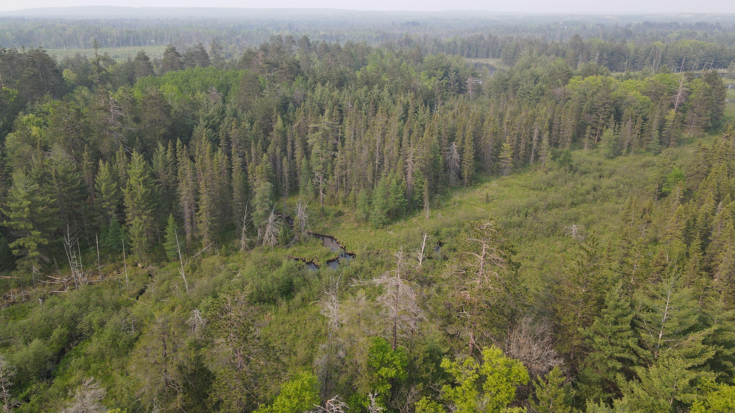 Parcel B Cherry Creek Road Grayling, MI 49738 - Photo 2 of 25 DJI_0928