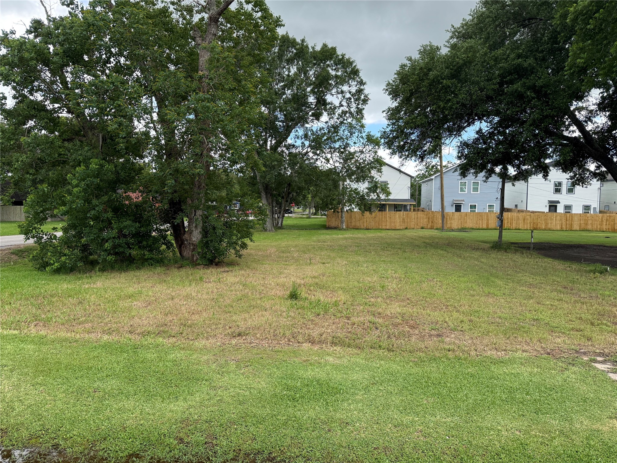 407 North 3rd Street Beasley, TX 77417 - Photo 2 of 12 a view of a trees in a yard