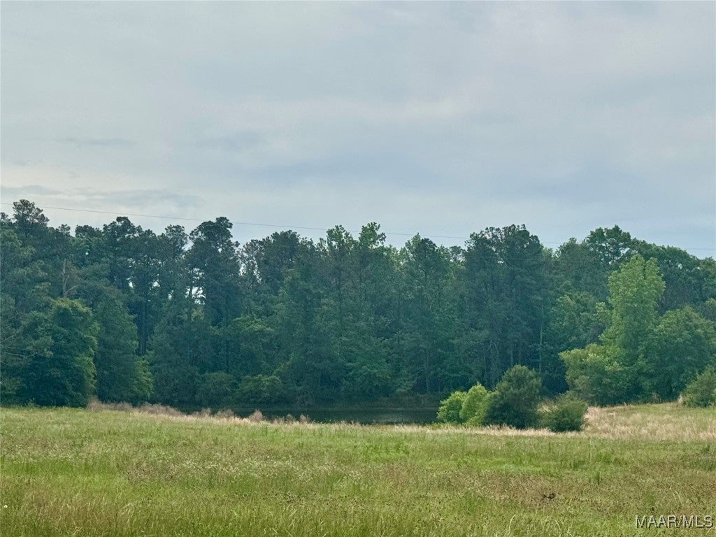 29990 Straughn School Road Andalusia, AL 36421 - Photo 33 of 37 Gallery Image 33