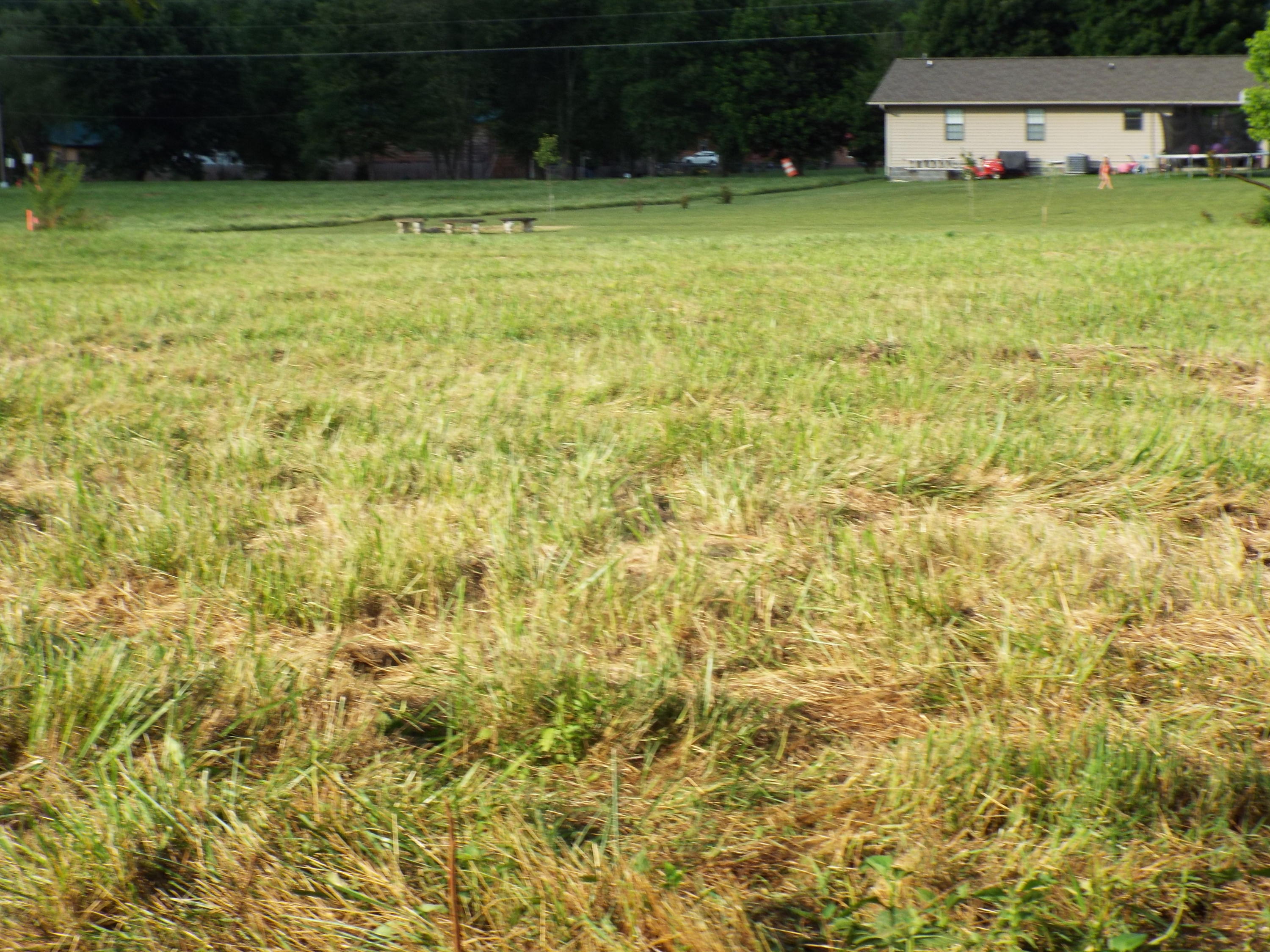 Lot #4 Padgett Mill Road Cosby, TN 37722 - Photo 5 of 10 DSCF5563
