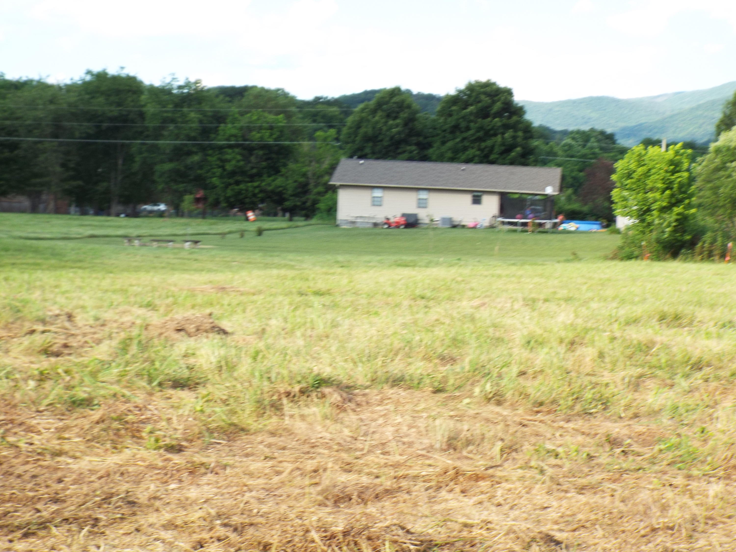 Lot #4 Padgett Mill Road Cosby, TN 37722 - Photo 7 of 10 DSCF5565
