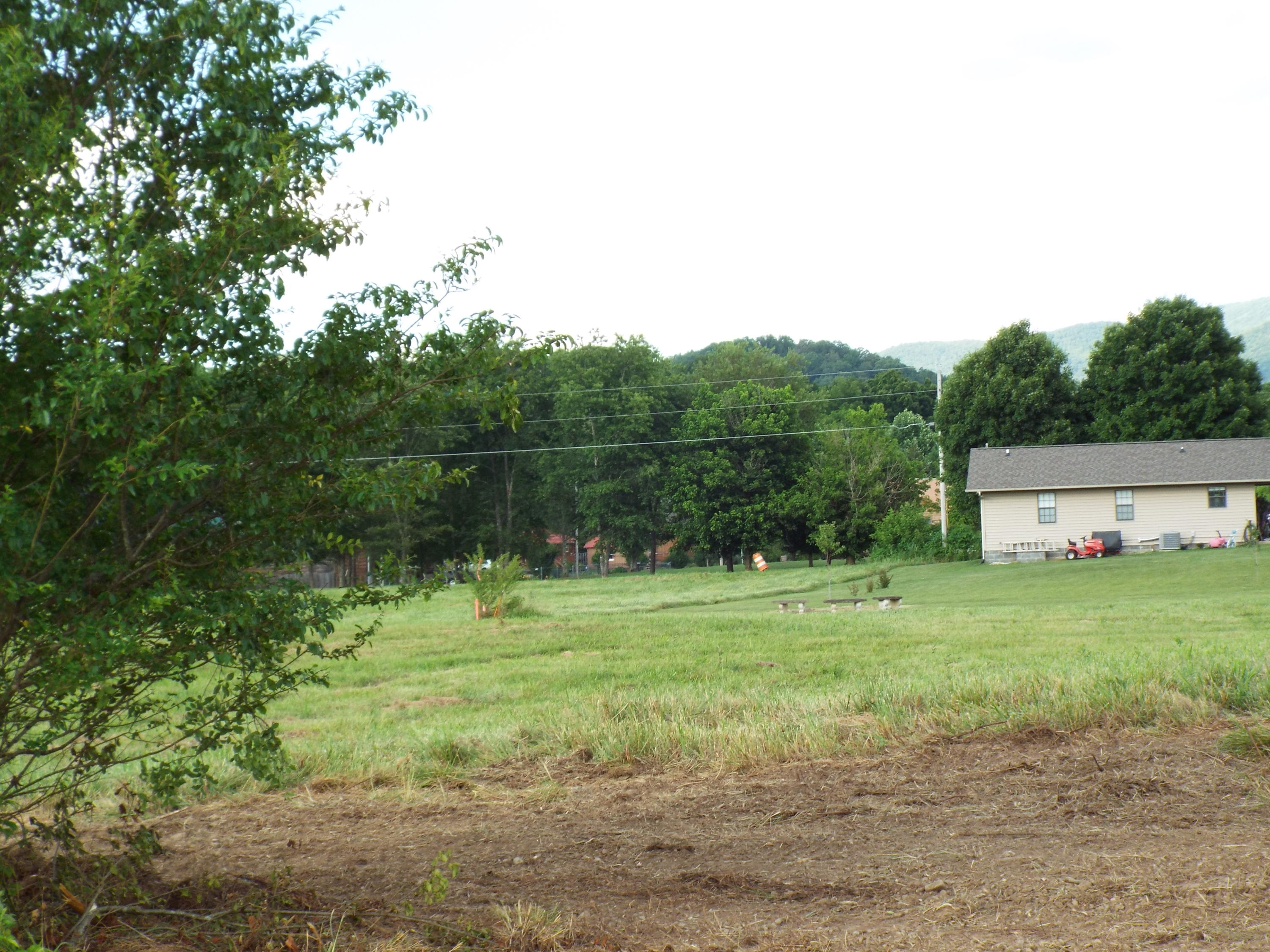 Lot #4 Padgett Mill Road Cosby, TN 37722 - Photo 8 of 10 DSCF5566