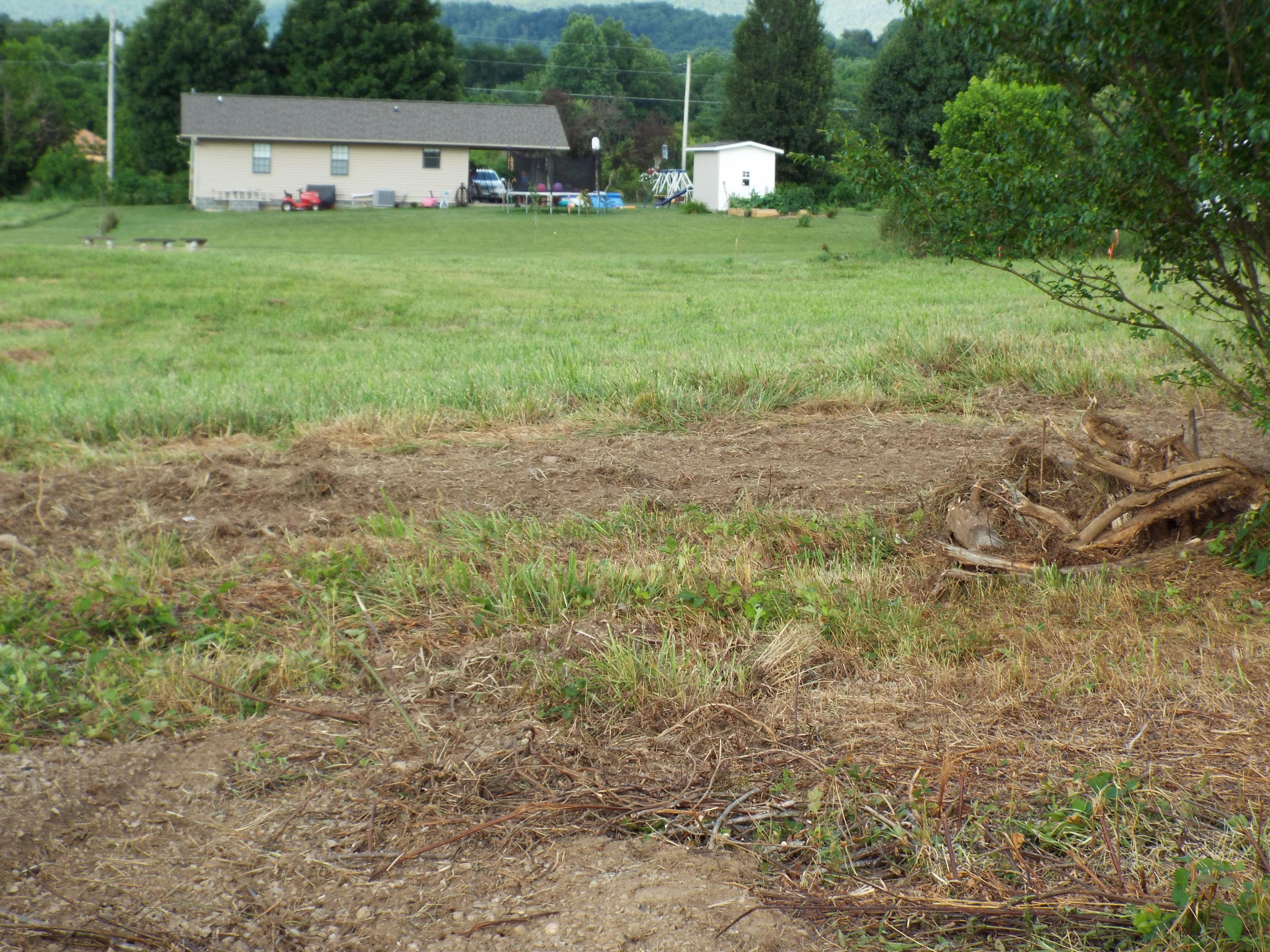 Lot #4 Padgett Mill Road Cosby, TN 37722 - Photo 9 of 10 DSCF5567