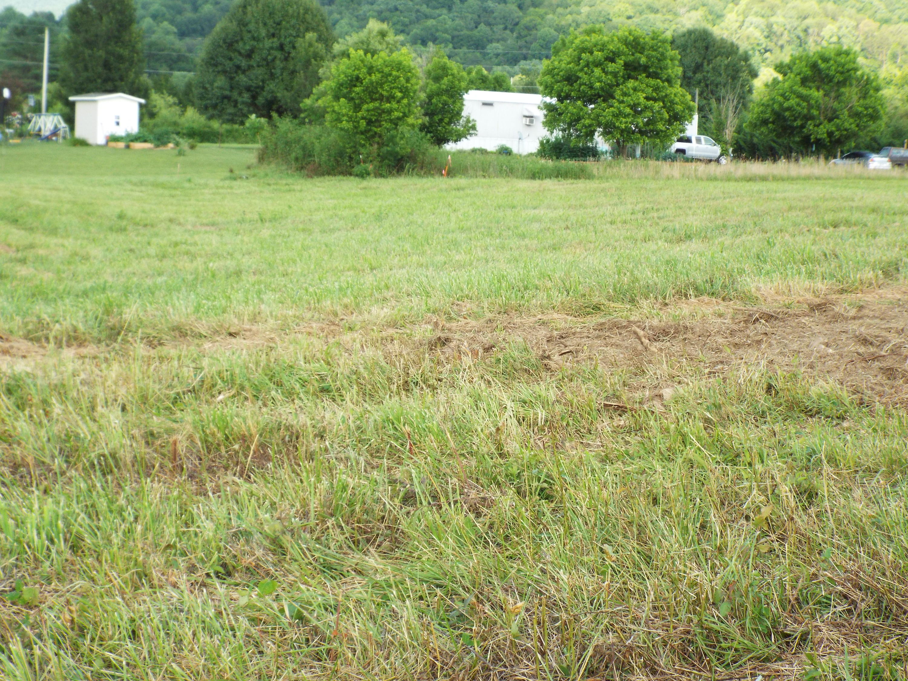Lot #4 Padgett Mill Road Cosby, TN 37722 - Photo 10 of 10 DSCF5568