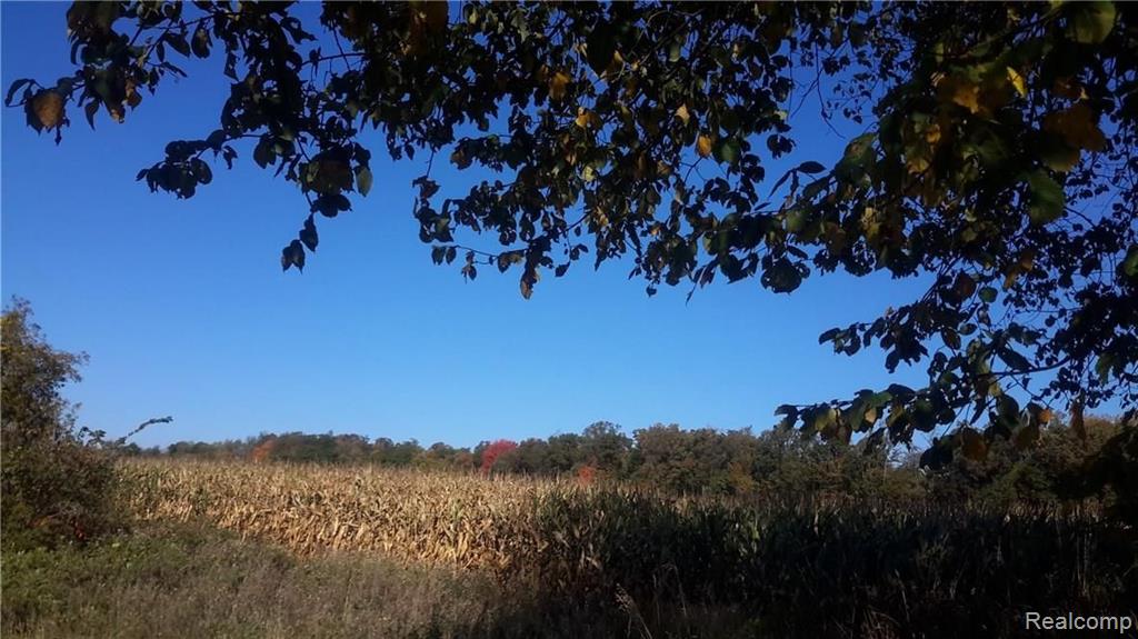 2529 Delano Road Oxford, MI 48371 - Photo 22 of 44