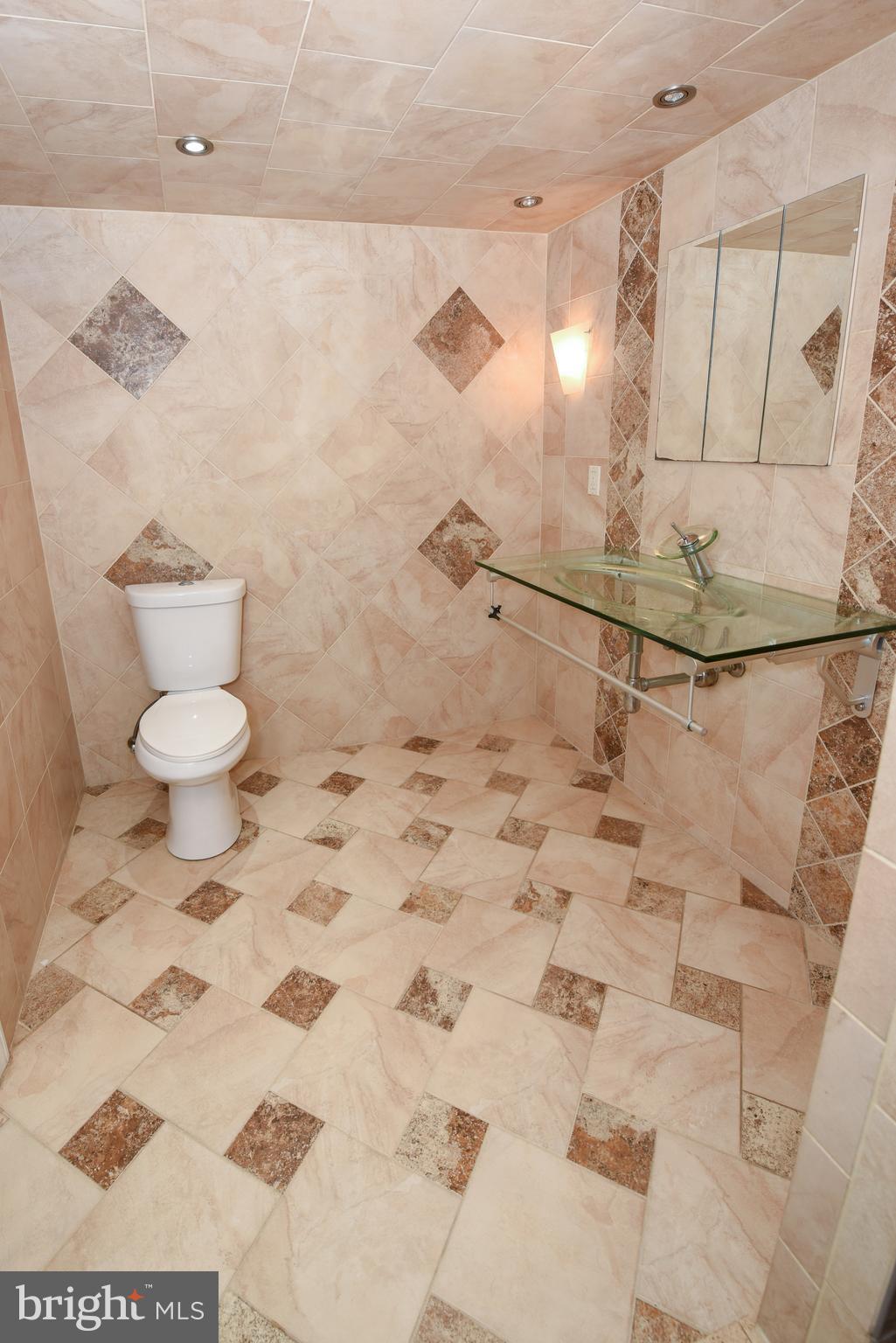 3010 Bath Road Bristol, PA 19007 - Photo 33 of 47 Lower level full bath.