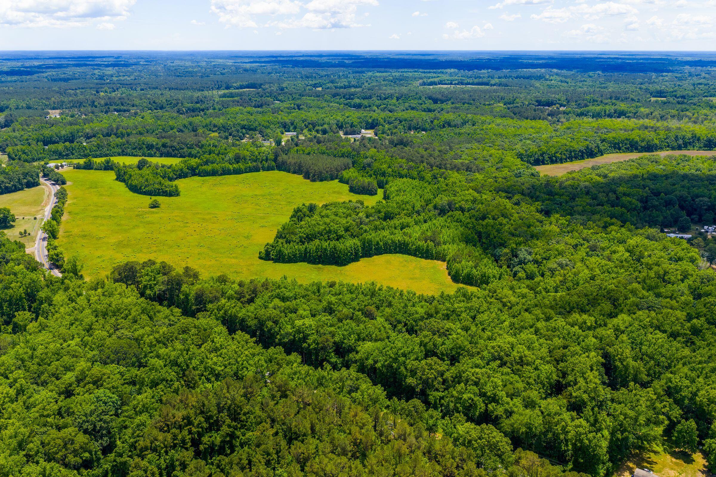 0 Rehoboth Road Cottageville, SC 29435 - Photo 28 of 35 RehobothRd-KeenEyeMarketing-028