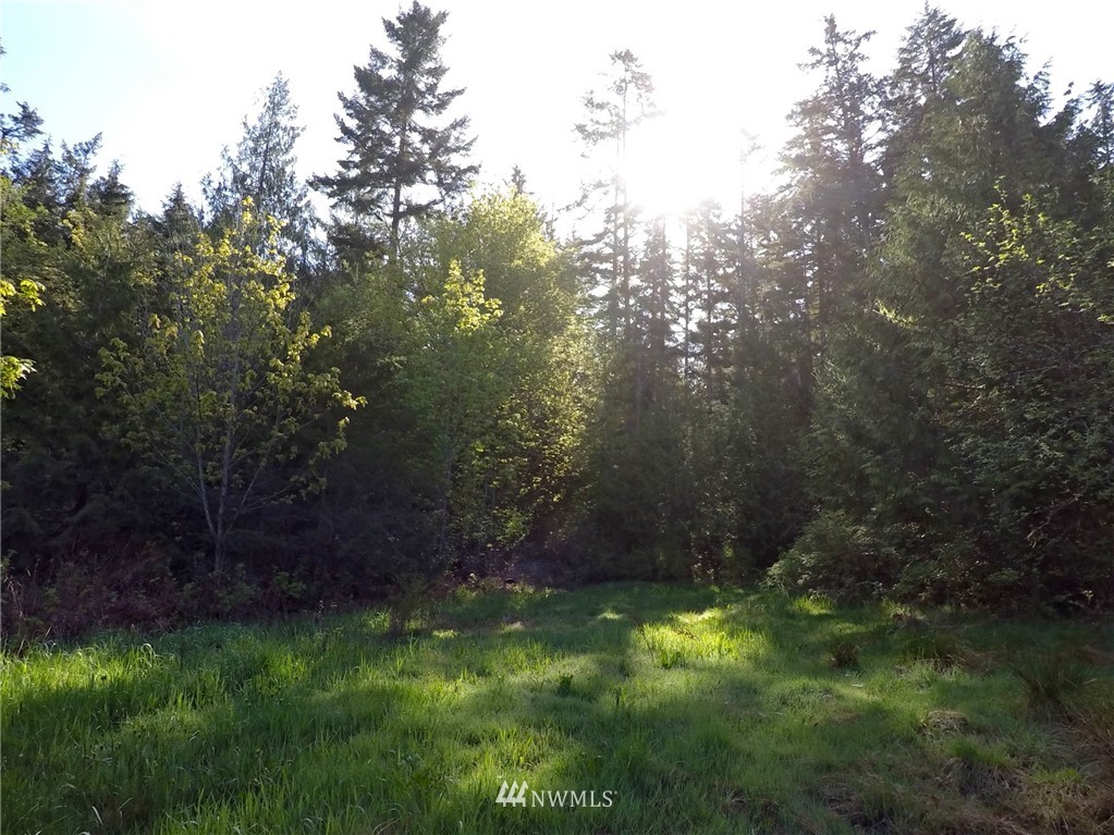 451-467 John Jacobs Road Port Angeles, WA 98362 - Photo 11 of 23 Gallery Image 11