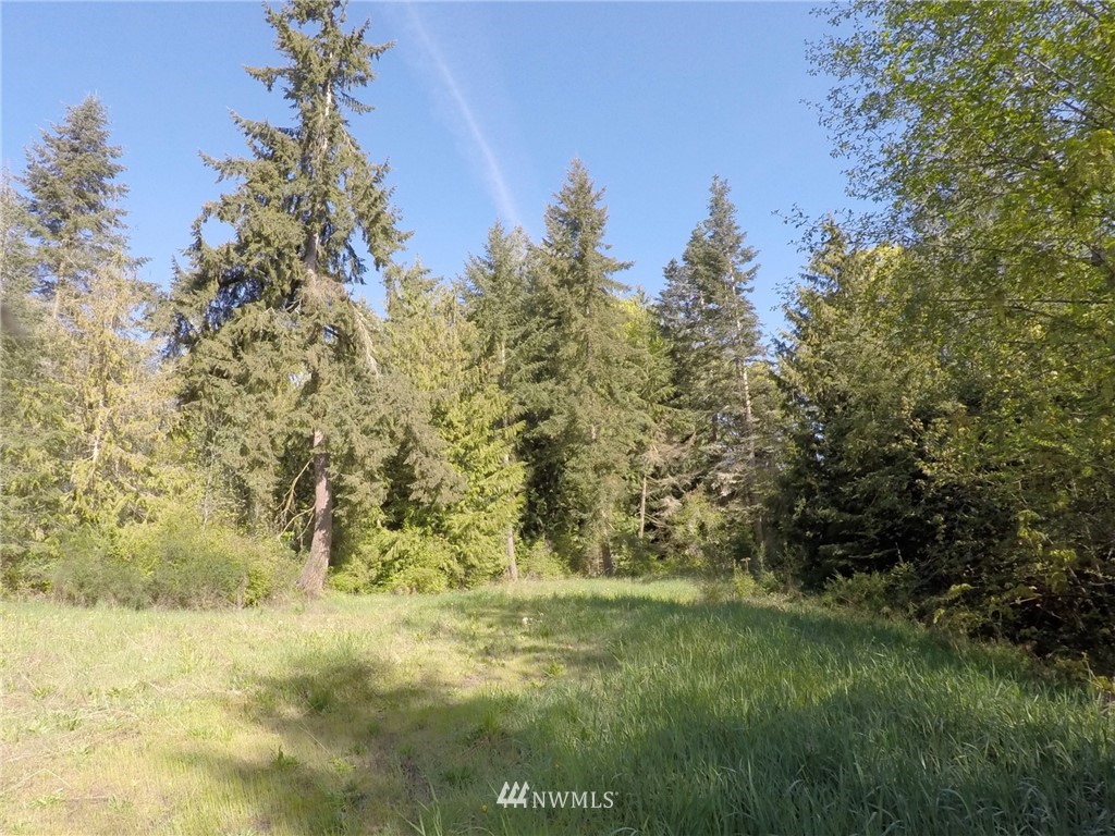 451-467 John Jacobs Road Port Angeles, WA 98362 - Photo 15 of 23 Gallery Image 15