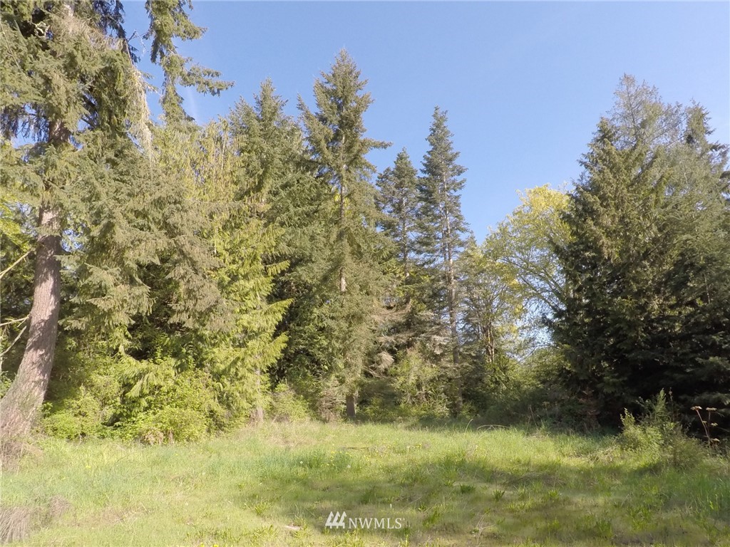 451-467 John Jacobs Road Port Angeles, WA 98362 - Photo 16 of 23 Gallery Image 16