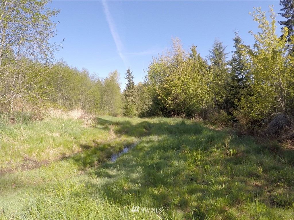 451-467 John Jacobs Road Port Angeles, WA 98362 - Photo 19 of 23 Gallery Image 19