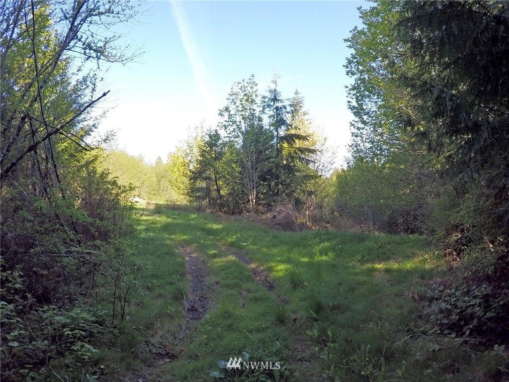 451-467 John Jacobs Road Port Angeles, WA 98362 - Photo 20 of 23 Gallery Image 20