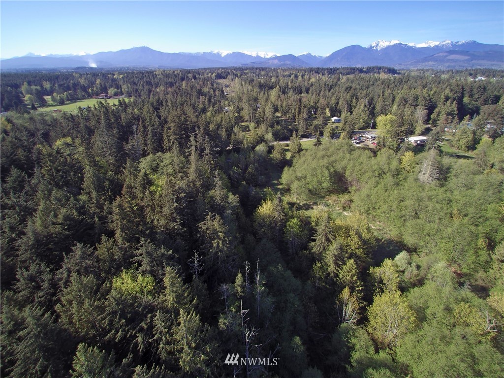 451-467 John Jacobs Road Port Angeles, WA 98362 - Photo 22 of 23 Gallery Image 22