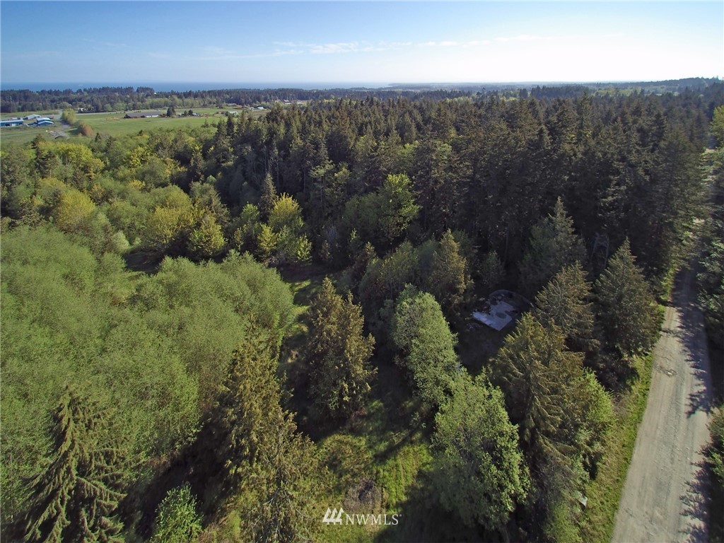 451-467 John Jacobs Road Port Angeles, WA 98362 - Photo 23 of 23 Gallery Image 23