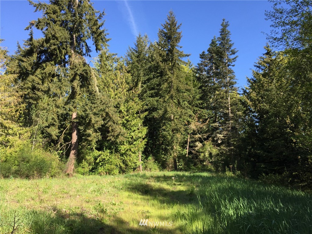 451-467 John Jacobs Road Port Angeles, WA 98362 - Photo 6 of 23 Gallery Image 6