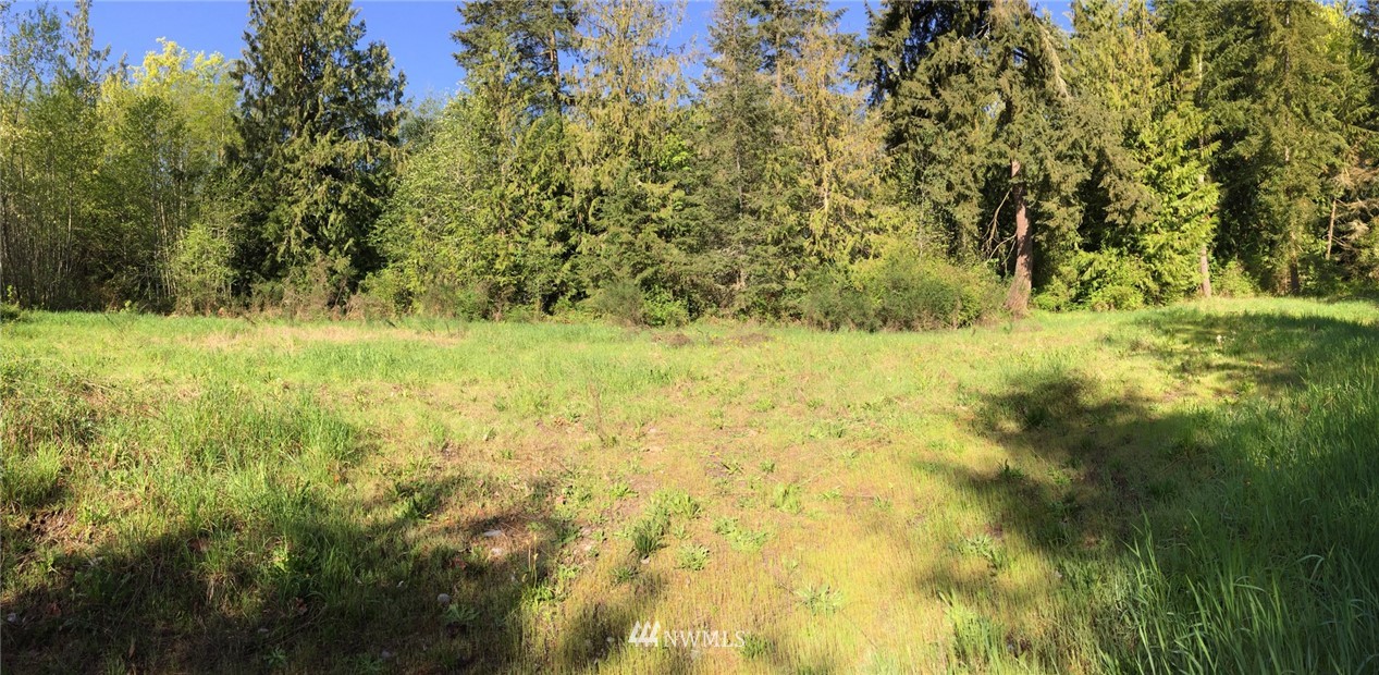 451-467 John Jacobs Road Port Angeles, WA 98362 - Photo 8 of 23 Gallery Image 8