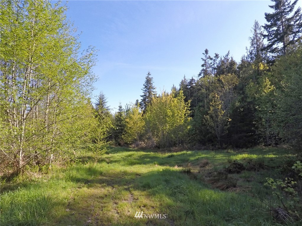 451-467 John Jacobs Road Port Angeles, WA 98362 - Photo 10 of 23 Gallery Image 10