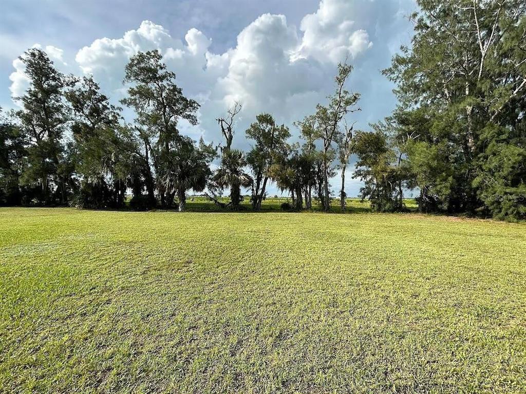 7901 Castile Road Sebring, FL 33876 - Photo 2 of 6 a view of a field