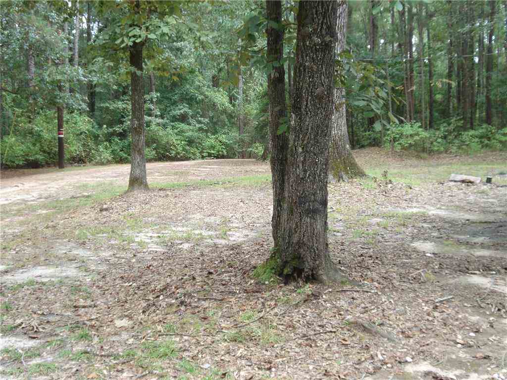 199 C Rachal Road Pollock, LA 71467 - Photo 6 of 18 Gallery Image 6