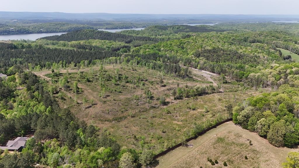 13406 Eldridge Road Harrison, TN 37341 - Photo 2 of 10