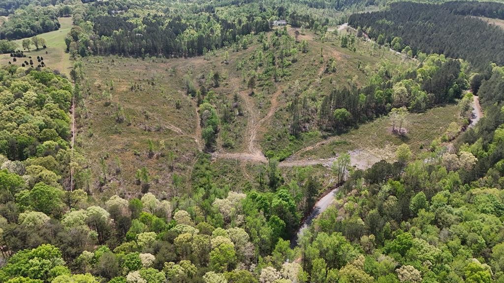 13406 Eldridge Road Harrison, TN 37341 - Photo 3 of 10