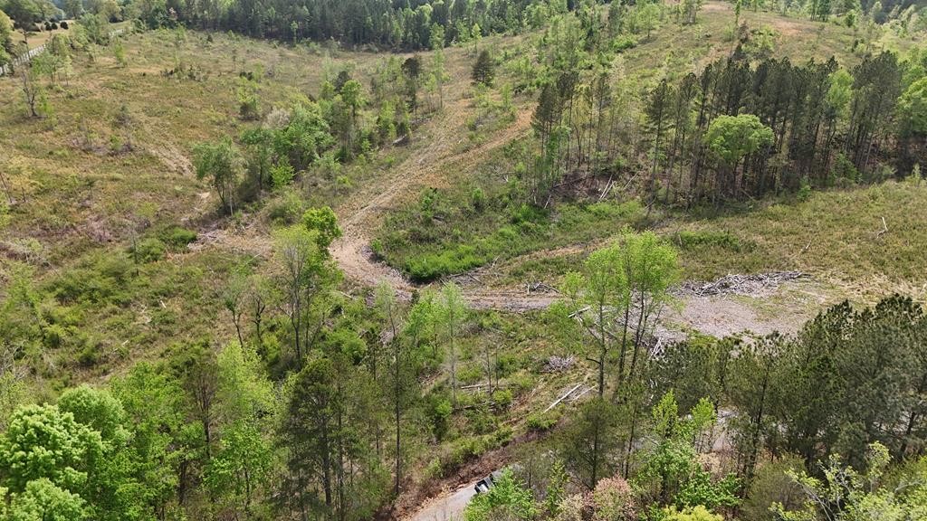 13406 Eldridge Road Harrison, TN 37341 - Photo 6 of 10