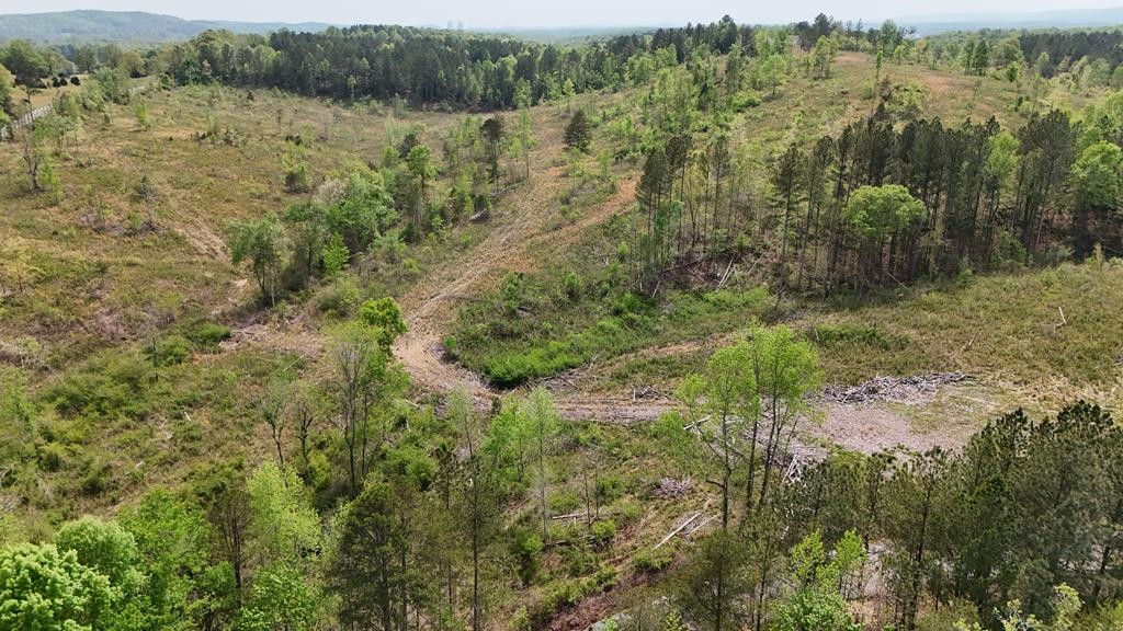 13406 Eldridge Road Harrison, TN 37341 - Photo 7 of 10