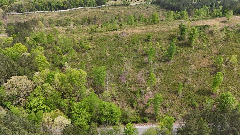 13406 Eldridge Road Harrison, TN 37341 - Photo 8 of 10