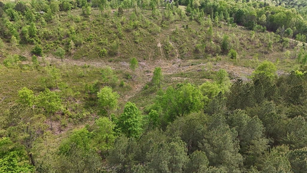 13406 Eldridge Road Harrison, TN 37341 - Photo 10 of 10