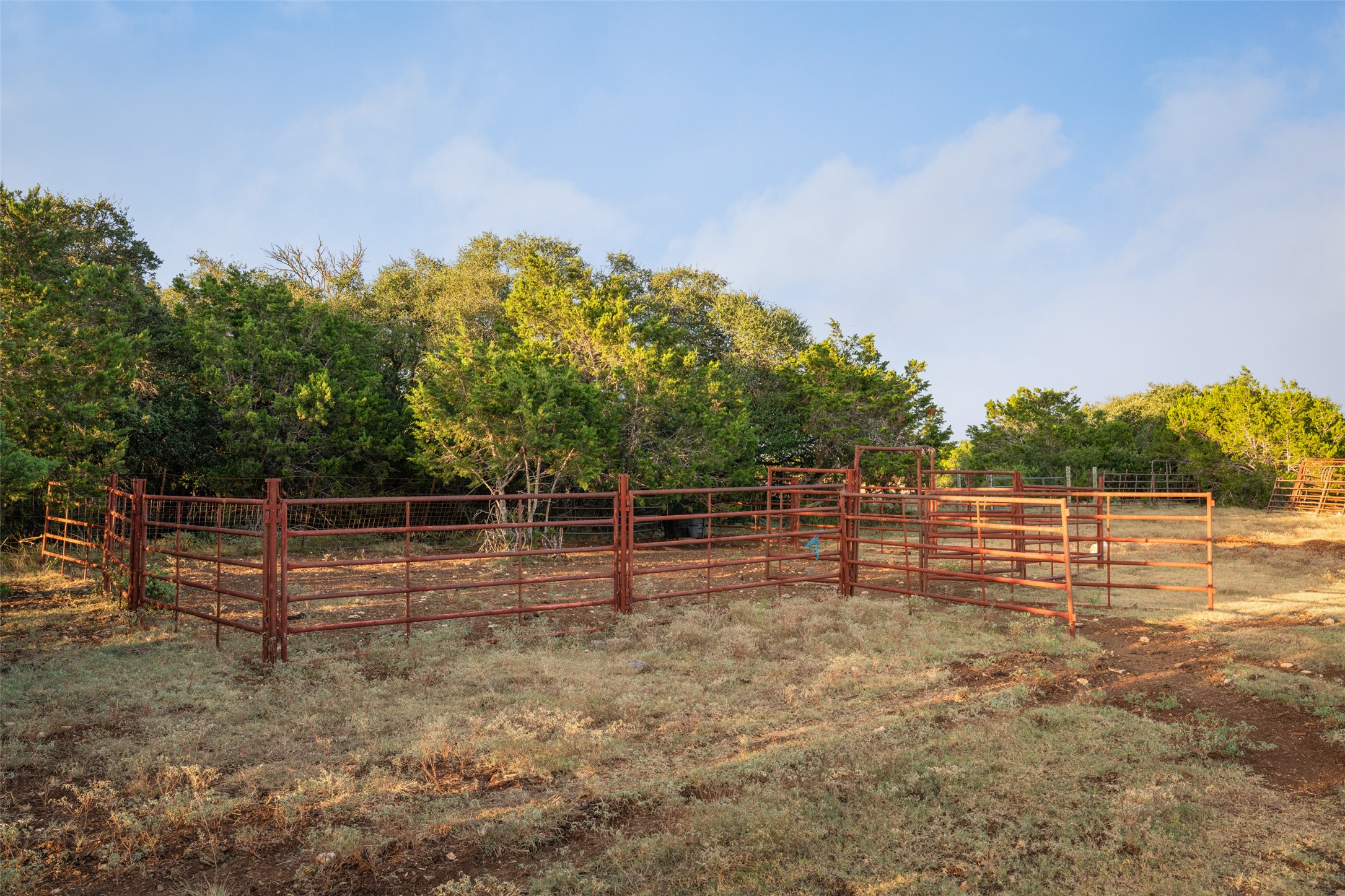 0 Hays Country Acres Road Dripping Springs, TX 78620 - Photo 29 of 33 Sturdy metal fencing creates functional livestock pens surrounded by mature native trees.