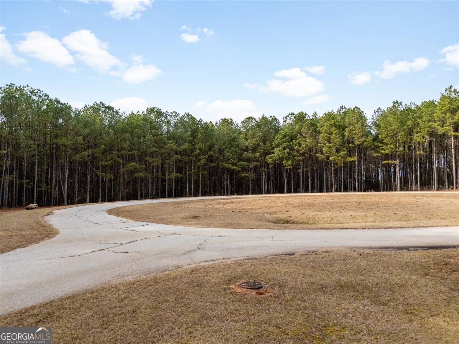 0 Magnolia Court Tignall, GA 30668 - Photo 6 of 15 a view of a backyard of house