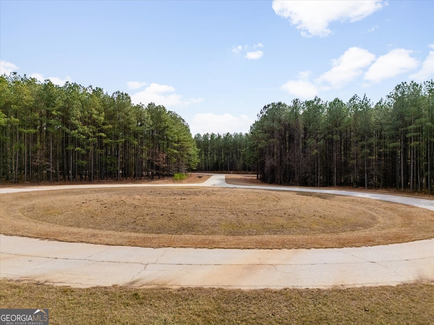 0 Magnolia Court Tignall, GA 30668 - Photo 7 of 15 a view of swimming pool with mountain view
