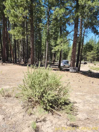 $75,000 | 0 Green Forest Drive, Unit 22, Chiloquin, OR 97624
