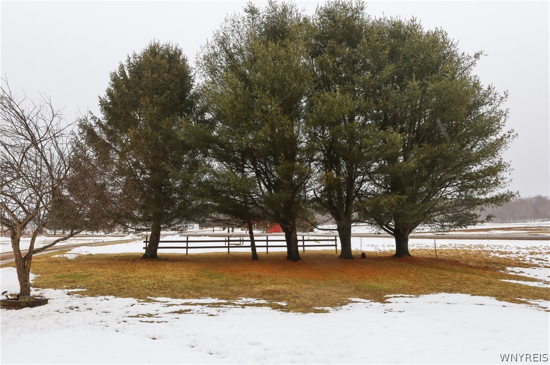 6450 Campbell Road Pike, NY 14066 - Photo 26 of 30 Sits back from the road , partially fenced area