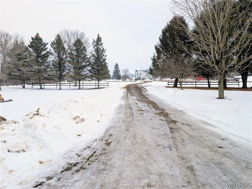 6450 Campbell Road Pike, NY 14066 - Photo 30 of 30 This is taken by the house looking out at the driv