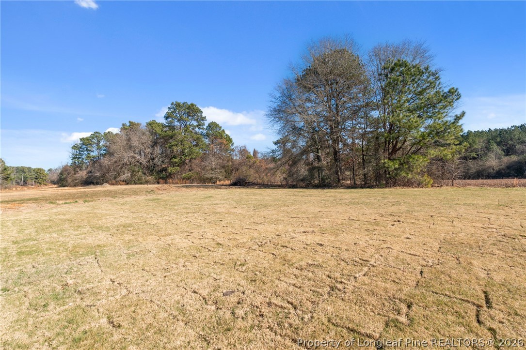 302 Elijah Way Vass, NC 28394 - Photo 44 of 44 a view of yard with large trees