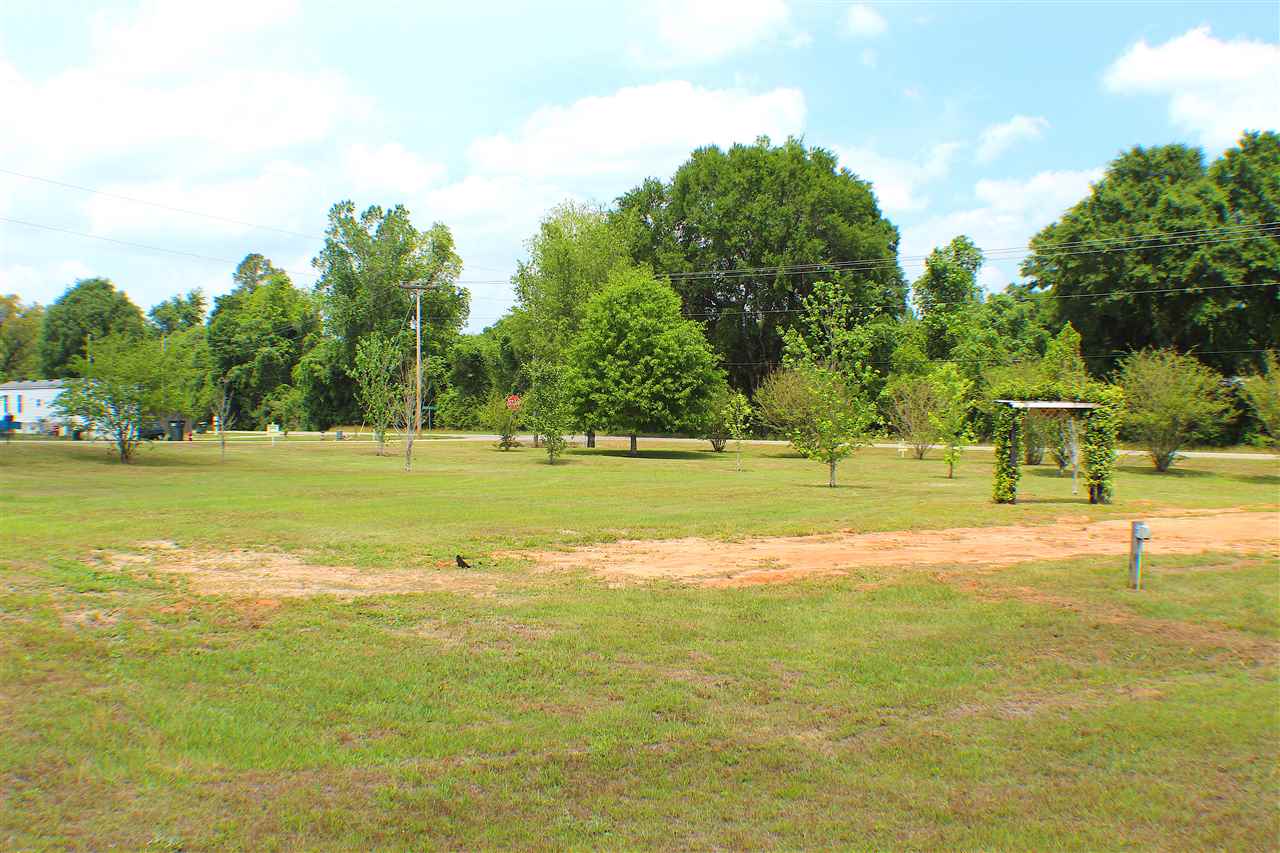 26930 Forest View Road Robertsdale, AL 36567 - Photo 3 of 6