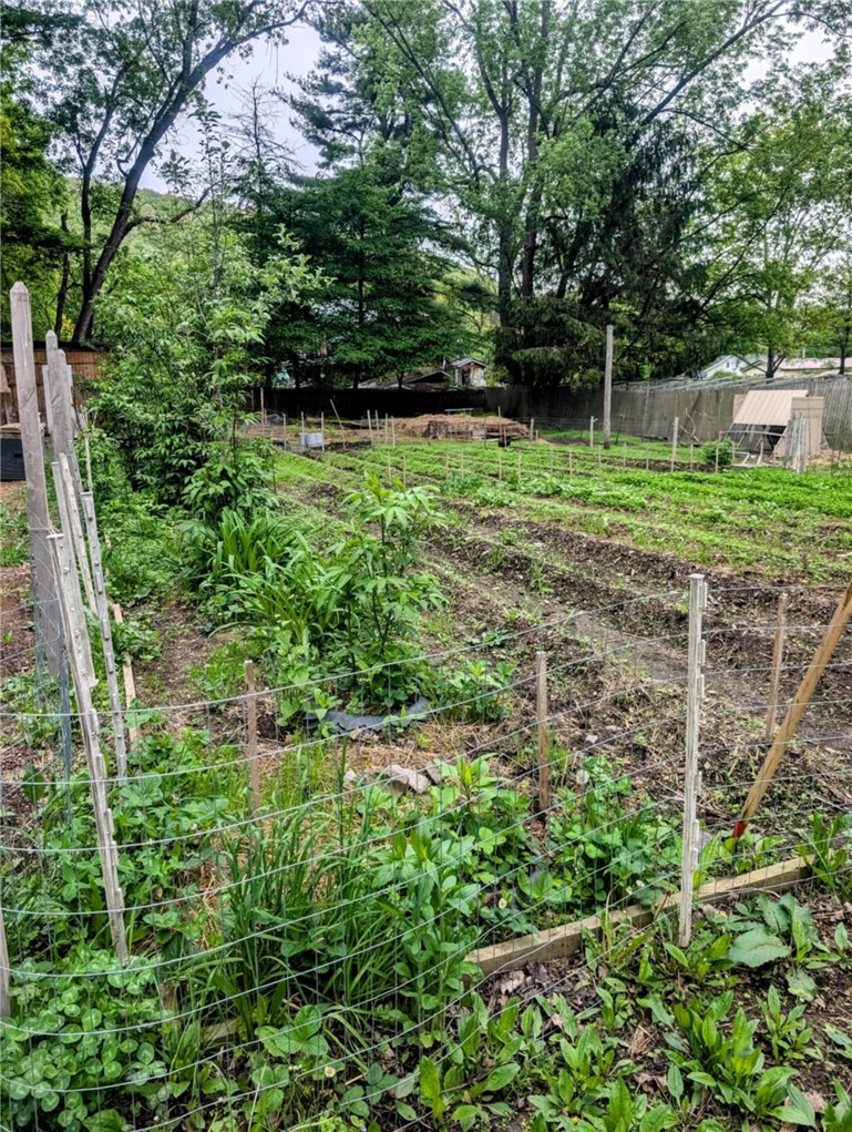 130 Wetherby Road Italy, NY 14512 - Photo 7 of 26