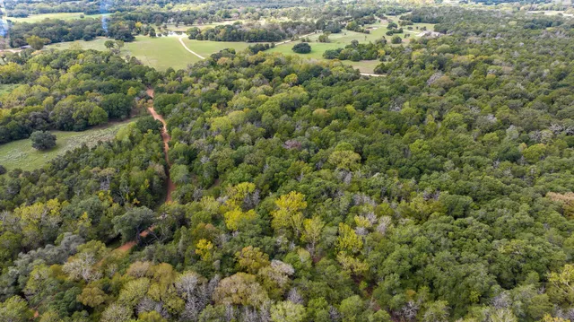 an aerial view of residential houses with outdoor space and trees